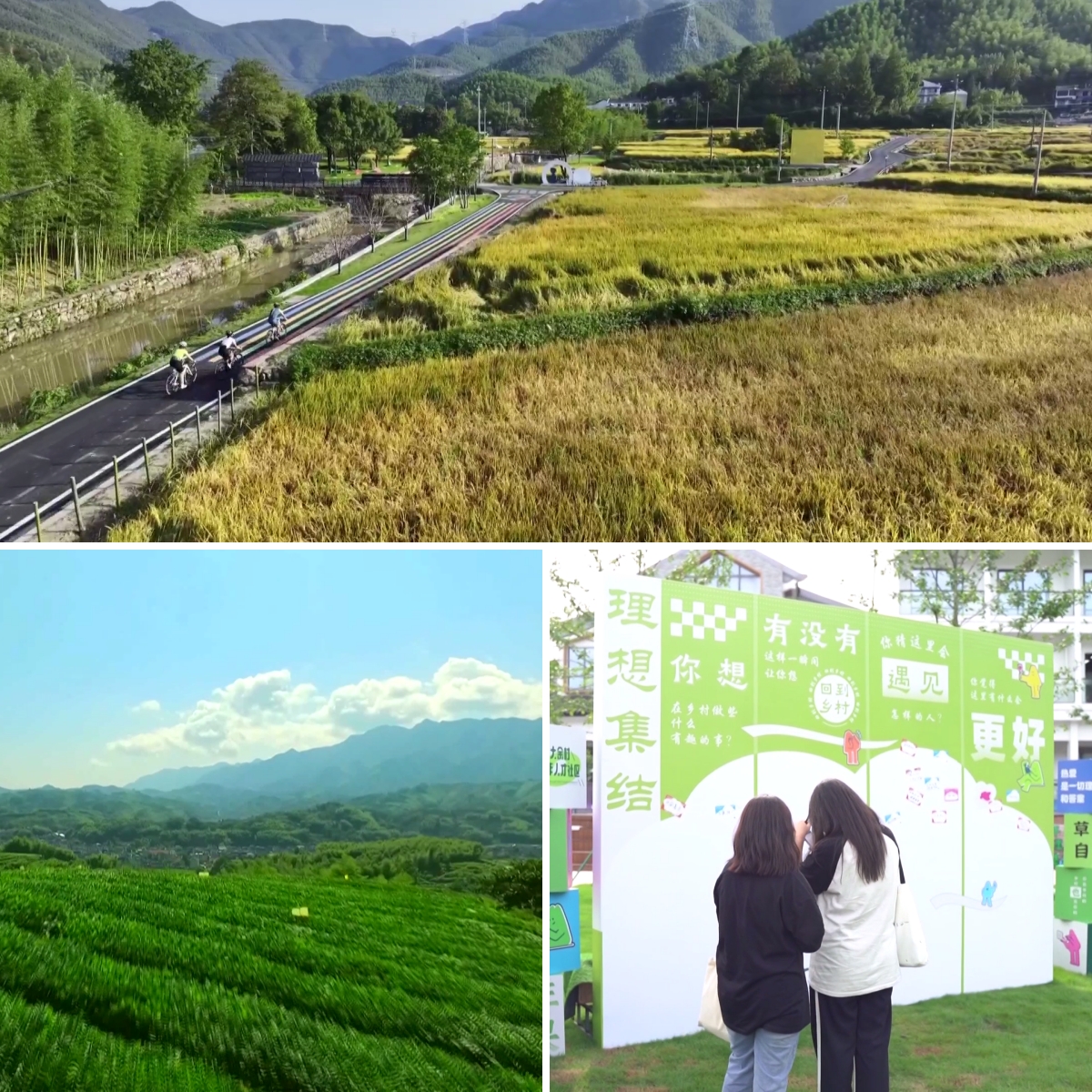 惟改革者进GDP的绿色之变(图4)