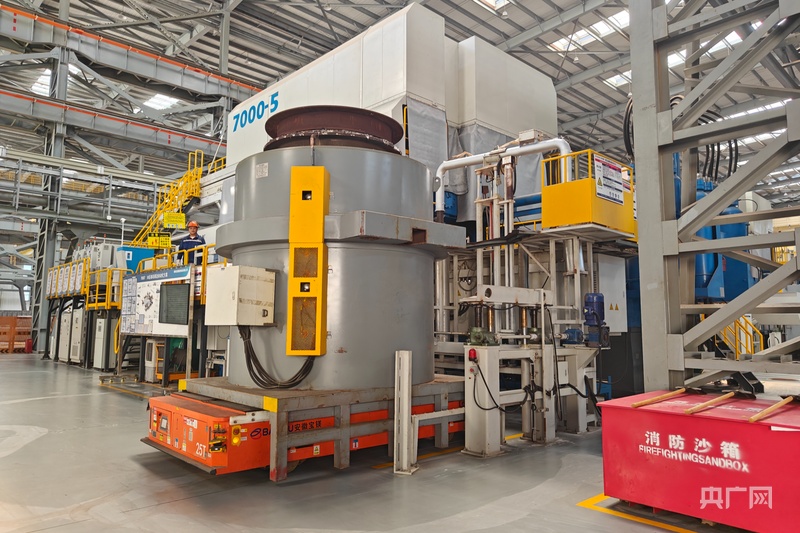 2025世界制造业大会丨安徽青阳 “镁”力四射(图1)